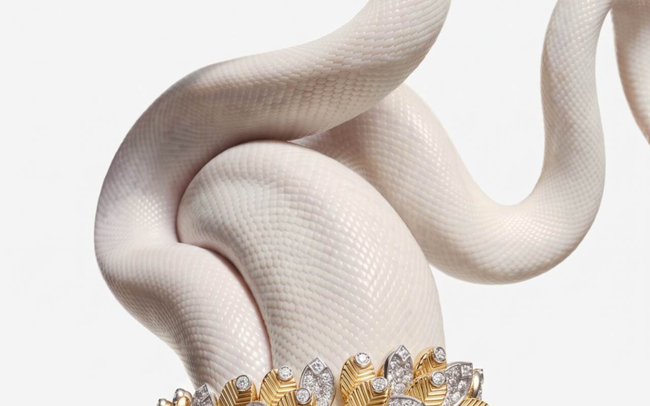Cartier — gioielleria AI